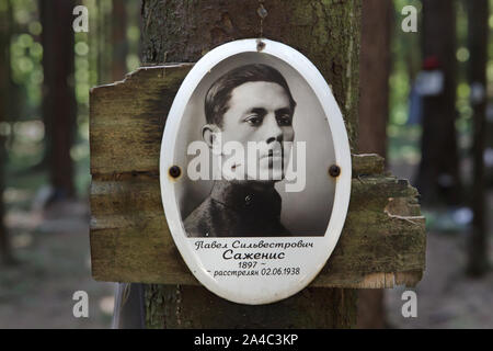 Fotografia di una delle vittime del Bolshevik repressioni politico installato dai suoi parenti a Levashovo Memorial Cemetery in foresta accanto a Levashovo stazione ferroviaria nei pressi di San Pietroburgo, Russia. La foresta è diventato la massa luogo di sepoltura delle persone giustiziate durante il Grande spurgare dalla polizia segreta sovietica NKVD, più tardi conosciuto come il KGB. Vi sono stati almeno 19.000 vittime di repressioni politici qui sepolto dal 1937 al 1954. Secondo altre fonti, circa 45.000 persone potrebbe essere sepolto a Levashovo Memorial Cemetery in tombe non marcati. Foto Stock