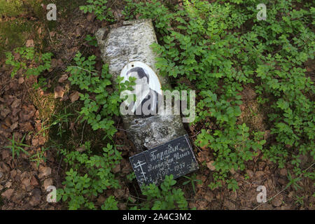 Fotografia di una delle vittime del Bolshevik repressioni politico installato dai suoi parenti a Levashovo Memorial Cemetery in foresta accanto a Levashovo stazione ferroviaria nei pressi di San Pietroburgo, Russia. La foresta è diventato la massa luogo di sepoltura delle persone giustiziate durante il Grande spurgare dalla polizia segreta sovietica NKVD, più tardi conosciuto come il KGB. Vi sono stati almeno 19.000 vittime di repressioni politici qui sepolto dal 1937 al 1954. Secondo altre fonti, circa 45.000 persone potrebbe essere sepolto a Levashovo Memorial Cemetery in tombe non marcati. Foto Stock