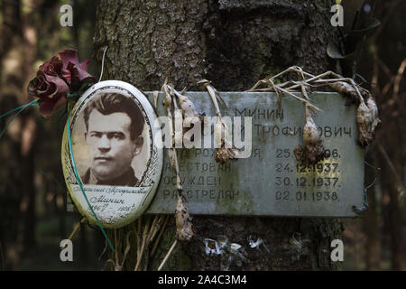 Fotografia di una delle vittime del Bolshevik repressioni politico installato dai suoi parenti a Levashovo Memorial Cemetery in foresta accanto a Levashovo stazione ferroviaria nei pressi di San Pietroburgo, Russia. La foresta è diventato la massa luogo di sepoltura delle persone giustiziate durante il Grande spurgare dalla polizia segreta sovietica NKVD, più tardi conosciuto come il KGB. Vi sono stati almeno 19.000 vittime di repressioni politici qui sepolto dal 1937 al 1954. Secondo altre fonti, circa 45.000 persone potrebbe essere sepolto a Levashovo Memorial Cemetery in tombe non marcati. Foto Stock