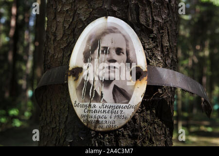 Fotografia di una delle vittime del Bolshevik repressioni politico installato dai suoi parenti a Levashovo Memorial Cemetery in foresta accanto a Levashovo stazione ferroviaria nei pressi di San Pietroburgo, Russia. La foresta è diventato la massa luogo di sepoltura delle persone giustiziate durante il Grande spurgare dalla polizia segreta sovietica NKVD, più tardi conosciuto come il KGB. Vi sono stati almeno 19.000 vittime di repressioni politici qui sepolto dal 1937 al 1954. Secondo altre fonti, circa 45.000 persone potrebbe essere sepolto a Levashovo Memorial Cemetery in tombe non marcati. Foto Stock