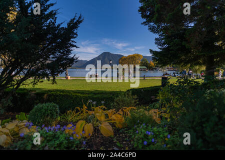 La vista su fiori in un lago di montagna. Foto Stock