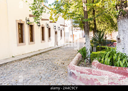 Emply ciottoli stone street nella città fantasma di minerale de Pozos, Guanajuato, Messico. La città, una volta una maggiore argento centro minerario è stata abbandonata e lasciata alla rovina ma ha lentamente rimonta alla vita come un bohemian arts community. Foto Stock