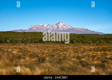 Bella vulcano innevato Ruapehu in Nuova Zelanda strade del deserto Foto Stock