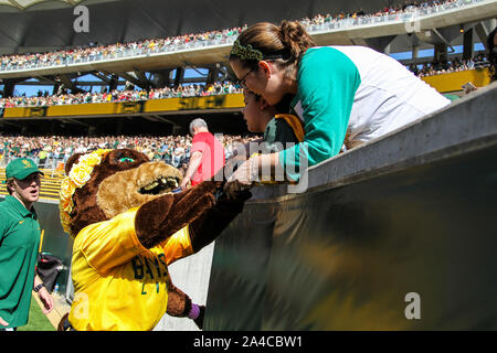 Waco, Texas, Stati Uniti d'America. Xii oct, 2019. Baylor Bears Mascotte in azione durante il gioco tra il Texas Tech Red Raiders e il Baylor porta all'McLane Stadium di Waco, Texas. Credito: Dan Wozniak/ZUMA filo/Alamy Live News Foto Stock