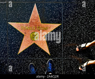 Donald Trump's stella sulla Walk of Fame, Hollywood Boulevard, Hollywood, Los Angeles, California, Stati Uniti d'America Foto Stock