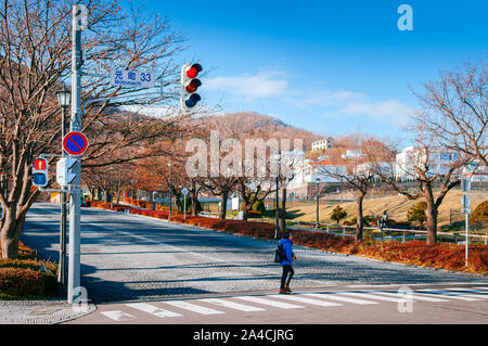 Dicembre 2, 2018 Hakodate, Giappone - il traffico della strada luce e un ragazzo di attraversamento su strada di Motomachi con albero sfrondato lungo entrambi i lati con blu cielo d'inverno. Foto Stock