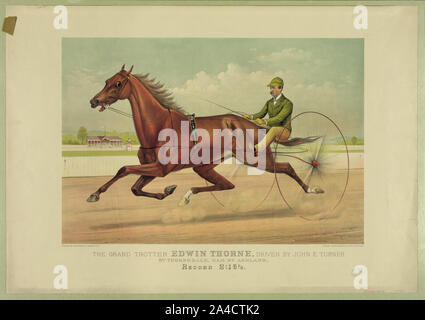 Il grand trotter Edwin Thorne, guidato da John E. Turner: da Thornedale, dam da Ashland Foto Stock