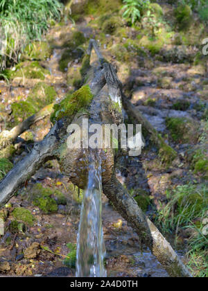 L'acqua della sorgente fresca scorre attraverso un tubo intagliato in legno. Fonte D'Acqua Vrelo, Hydro Complex Lisine, Beljanica, Serbia, Foto Stock