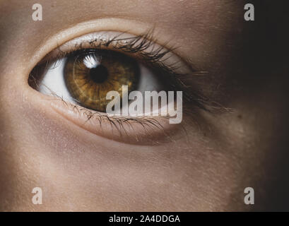 Close-up di una ragazza di occhio marrone Foto Stock