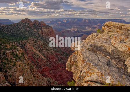 Canyon vista da est Buggeln Hill, South Rim, il Grand Canyon, Arizona, Stati Uniti Foto Stock