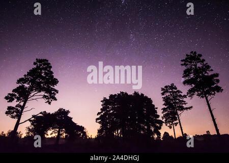 Il nord del cielo notturno di stelle sopra Stedham comune, Stedham e Iping Commons, Dark Sky sito Discovery, Sussex, Regno Unito, ottobre Foto Stock