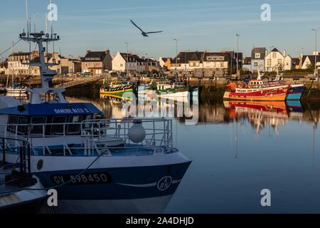 Le barche dei pescatori nel porto, LECHIAGAT QUAY, GUILVINEC, Finisterre, Bretagna Francia Foto Stock