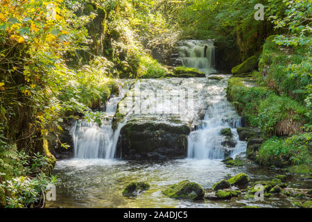 Cascate sulla trasformata per forte gradiente Oak acqua a Watersmeet, Lynmouth, Devon, Settembre Foto Stock