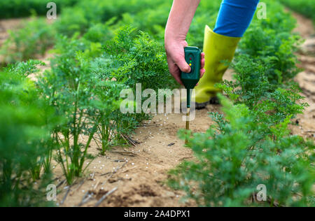 Misurare suolo con il dispositivo digitale. Piante verdi e contadina misurare il PH e umidità nel suolo. Alta tecnologia concetto di agricoltura. Foto Stock