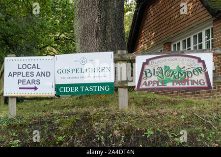 Indicazioni per Blackmoor Degustazione di Apple il giorno, un villaggio annuale manifestazione che si svolge durante il mese di ottobre nel villaggio di Hampshire, Regno Unito Foto Stock