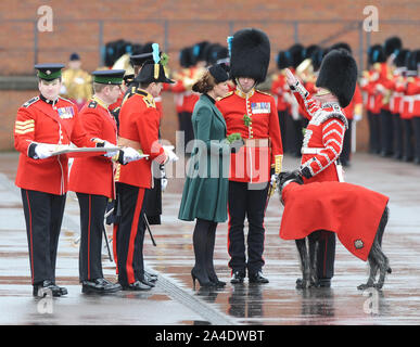 Foto deve essere accreditato ©Kate verde/Alpha premere 077017 17/03/2013 Kate Duchessa di Cambridge Katherine Catherine Middleton presenta l'ultimo rametto di shamrock al reggimento la nuova mascotte, sette mese vecchio Irish Wolfhound Domhnall, che era di effettuare il suo primo impegno pubblico a il giorno di San Patrizio parata tenutasi a Mons caserme in Aldershot Hampshire, Foto Stock