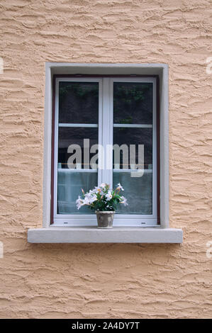 Visualizzazione di una finestra in Svizzera, Europa Foto Stock