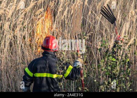 FIREFIGHTER estinzione di un incendio a spazzola (ANCE) con le fruste di fuoco, VIGILI DEL FUOCO DA SERVIZI DI EMERGENZA CENTRO DI CHAMBERY, LES MARCHE, SAVOY (73), Francia Foto Stock