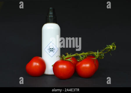 Utilizzo di pesticidi pericolosi nel settore agricolo di prodotti alimentari con pomodori rossi in primo piano e bianco spray bottiglie con velenosi etichetta di avvertimento Foto Stock
