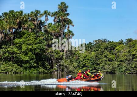 Salvataggio acquatico con il team specializzato DAI SERVIZI DI EMERGENZA CENTRO DI REMIRE-MONTJOLY, LA COMTE fiume e nel bel mezzo della foresta amazzonica, Guiana francese, Dipartimento d'oltremare, SUD AMERICA, Francia Foto Stock