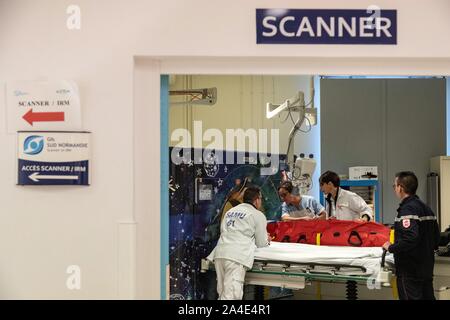 La vittima in ospedale è uno scanner, l'operazione di soccorso con i vigili del fuoco e il SAMU per un logger di giovane colpito alla testa da un albero nella foresta, ALENCON (61), Francia Foto Stock