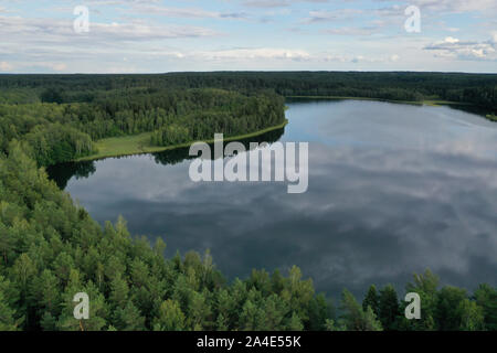 Foresta sulla riva del lago e con la riflessione Foto Stock