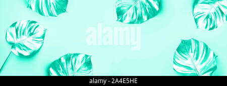 Estate esotici tendenza in stile minimal. Golden Palm tropicale monstera foglia di menta sul colore di sfondo. Verde alla moda e colore turchese Foto Stock