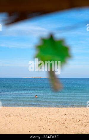 Palm tree a forma di stringa di festa luce sospesa da un rustico bar sulla spiaggia e mare blu con un uomo nuoto - estate inverno SPIAGGIA VACANZE EVASIONE Foto Stock