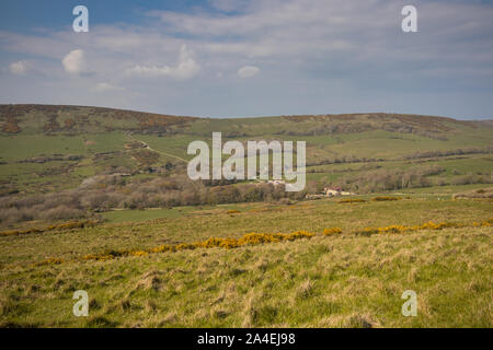 Panorama dalla costa sud-ovest percorso sopra le gamme di Lulworth verso il villaggio di Tyneham, Dorset, Regno Unito Foto Stock