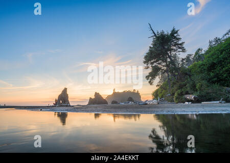 Il Parco nazionale di Olympic, Washington, Stati Uniti d'America al Ruby spiaggia al tramonto. Foto Stock