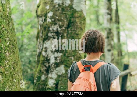 Escursionista femmina camminando sul sentiero attraverso boschi, vista posteriore della donna trekking nella foresta Foto Stock