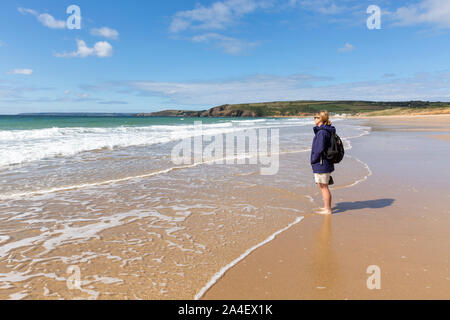 Una femmina di walker pale nella calma surf sulla spiaggia a Praa Sands, Cornwall, Inghilterra, Regno Unito. Foto Stock