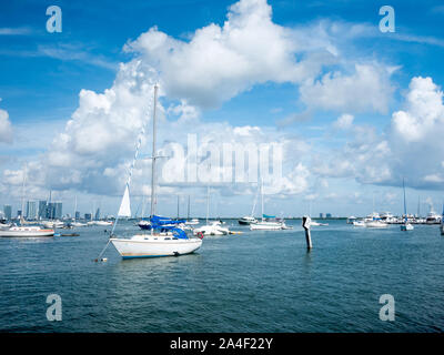 Coconut Grove marina a sud di Miami Florida nel cielo blu sullo sfondo. Foto Stock