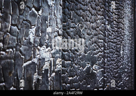 Immagine astratta di una parete in legno che è stata completamente carbonizzati in modo uniforme da un incendio, come texture di sfondo o. Foto Stock