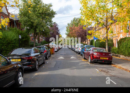 Guardando verso il basso e alberato Carr Road, Walthamstow, Londra E17, in autunno Foto Stock