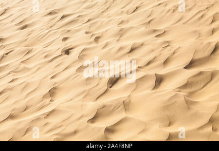 Soffiata dal vento e la sabbia del deserto di Thar del Rajasthan, India. Foto Stock