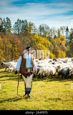 SZCZAWNICA,Polonia - 12 ottobre 2019: Tradizionale pastore dei Carpazi in colorati abiti regionali custodire le pecore che pascolano nel prato. Foto Stock