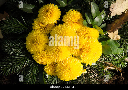 Ghirlanda di sepoltura da crisantemo giallo fiori Foto Stock