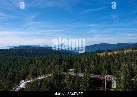 Albero canopy a piedi, treetop marciapiede, passerella attraverso la foresta, avventura nella natura, la fuga la città sul Rogla, Pohorja mountain, Slovenia Foto Stock