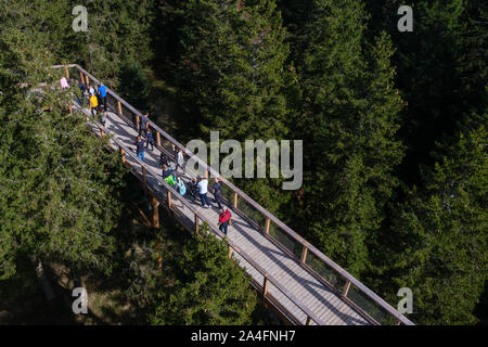 Albero canopy a piedi, treetop marciapiede, passerella attraverso la foresta, avventura nella natura, la fuga la città sul Rogla, Pohorja mountain, Slovenia Foto Stock