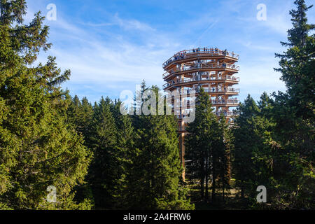 Foresta torre e la passerella, sentiero sopra le cime degli alberi, outdoor adventure sul Rogla, Slovenia Foto Stock