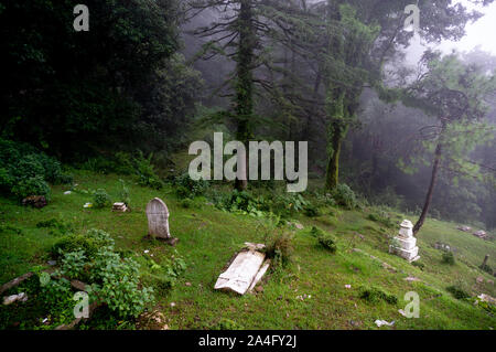 Inquadratura di un cimitero di nebbia sul pendio di una collina con alberi in background che sfumano in lontananza. Foto Stock