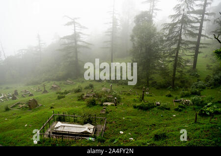 Inquadratura di un cimitero di nebbia sul pendio di una collina con alberi in background che sfumano in lontananza. Foto Stock