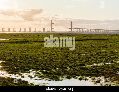 La seconda Severn Crossing / Prince of Wales Bridge, portante la M4 tra Inghilterra e Galles, visto da zone umide Pilning riserva naturale. Foto Stock