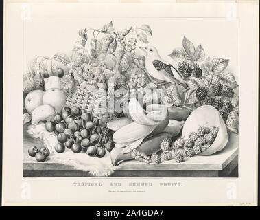 Tropicale e la frutta di stagione Foto Stock