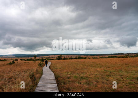 Walker in riserva naturale Hautes Fagnes, Belgio. Foto Stock