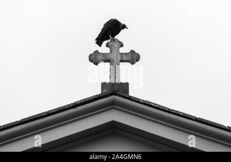 Il Museo generale "Cimitero Presbítero Matías Maestro" (1808 ). Il patrimonio culturale della nazione. La città di Lima, Perú,America del Sud. Foto Stock