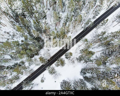 Bella vista aerea di neve coperta di foreste di pini e di un avvolgimento su strada tra alberi. Rime ghiaccio e gelo trasformata per forte gradiente di alberi di copertura. Scenic paesaggio invernale nea Foto Stock