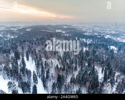 Bella vista aerea della coperta di neve foreste di pini. Rime ghiaccio e gelo trasformata per forte gradiente di alberi di copertura. Scenic paesaggio invernale vicino a Vilnius, Lituania. Foto Stock