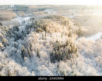 Bella vista aerea della coperta di neve foreste di pini. Rime ghiaccio e gelo trasformata per forte gradiente di alberi di copertura. Scenic paesaggio invernale vicino a Vilnius, Lituania. Foto Stock